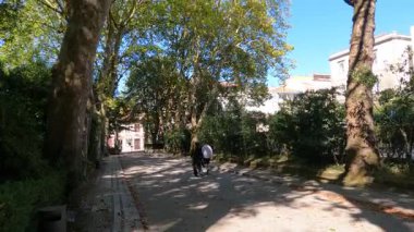 Bir çift, uzun ağaçların gölgesinde rahatlatıcı bir yürüyüş yapar, yeşil bir bölgenin huzurlu atmosferini kucaklarlar.. 