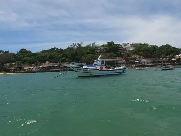 Botlarla nefes kesici bir tropik körfezin insansız hava aracı görüntüsü zümrüt yeşili tropikal bir körfeze dağılmış tekneleri yakalıyor..
