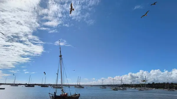 Parlak yaz güneşinin altında sakin bir marinaya yanaşmış lüks yatların çarpıcı manzarası..