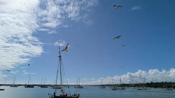 Sakin yaz suları rıhtımdaki tekneleri yansıtıyor ve huzurlu bir sahil manzarası yaratıyor..