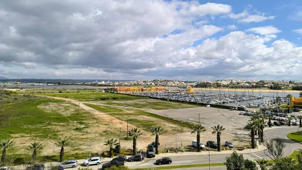 Kenti çevreleyen Hindistan cevizi ağaçlarının geniş görünümü 