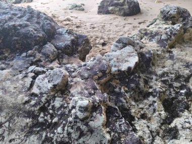 Rocky Beach 'in Günbatımı Işık Artıran Dokuları