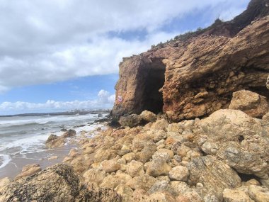 Sakin Okyanus Kıyı Kayaları 'nda Yüzüyor 