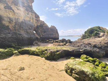 Güneş ışığı kumsaldaki yeşil yosunlara çarpar.