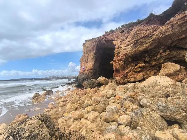 Sakin Okyanus Kıyı Kayaları 'nda Yüzüyor 