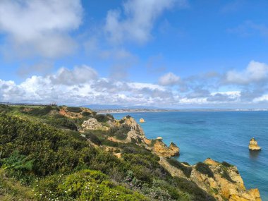 Okyanusa yakın Yapraklar Arasında Güneş