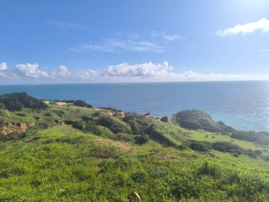 Doğa Sanatı Yeşil Arazi