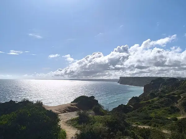 Yüksek uçurumların turkuaz sularla buluştuğunu gösteren geniş bir manzara.. 