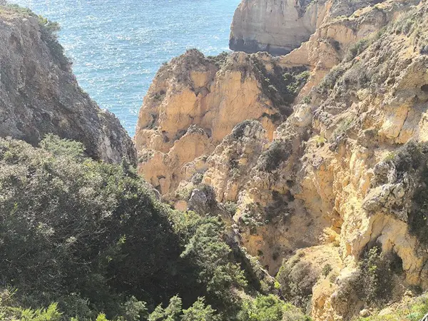 Tepeden tırnağa, bu görüntü tropikal yükseklik ve derinliği yakalar.. 