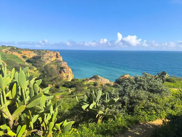 Sahilde Güneş, Tuz ve Sulu