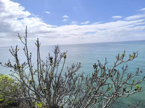 Tropikal Ada Gökyüzü Altında Kaçış