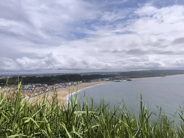 Mavi Gökler 'le Güneşli Tropikal Kıyı