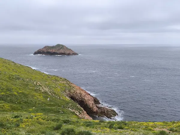 Tropikal Cennet 'te Nefes Kesen Okyanus Kıyısı