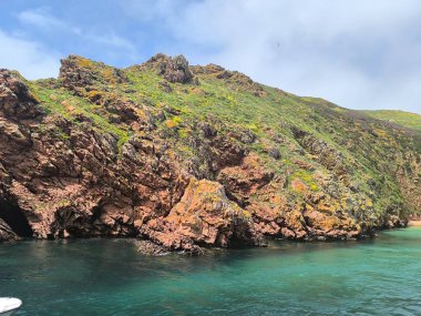 Vahşi Cennet: Engebeli Kayalar ve Parlayan Okyanus Renkleri