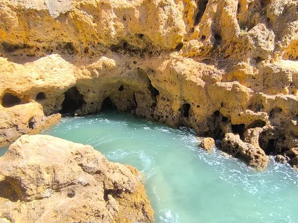 Kıyı Büyüsü: Rocky Adası ve Mücevher Tonu Suyu