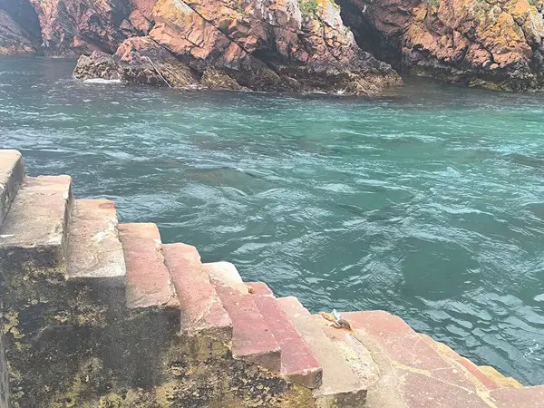 Rocky Tropikal Sahili Yüksek Çözünürlüklü Stok Fotoğrafı