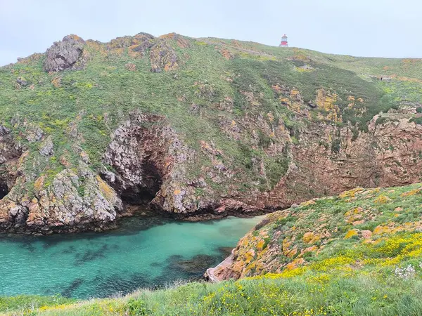 Canlı Suyla çevrili Rocky Adası 'nın Hava Görüntüsü