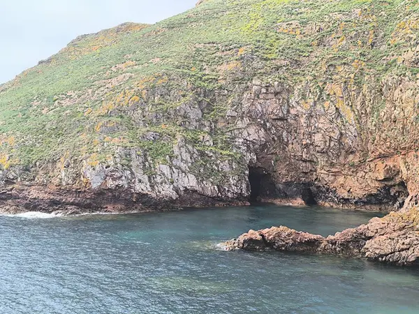 Kayalıklar ve Mercan Suları: Okyanuslar Renkli Kenar