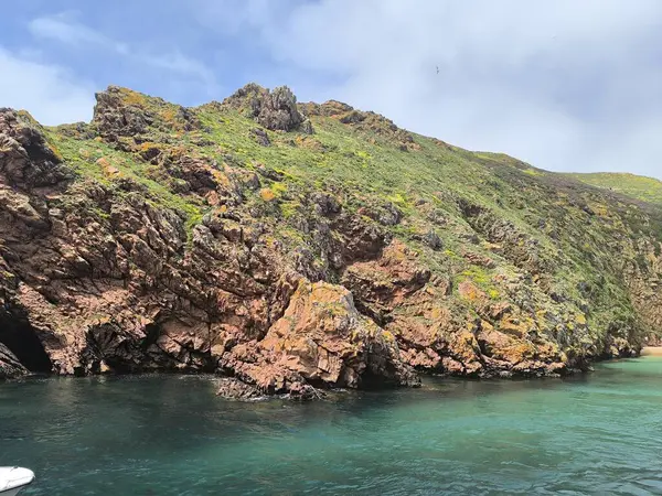 Vahşi Cennet: Engebeli Kayalar ve Parlayan Okyanus Renkleri
