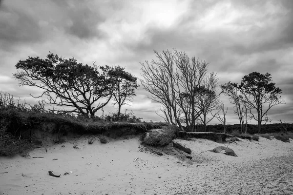 英国サフォーク州ベナエーカーの海岸浸食の黒と白の画像 — ストック写真