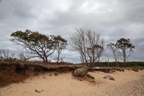 联合王国 萨福克 Benacre海岸侵蚀 — 图库照片