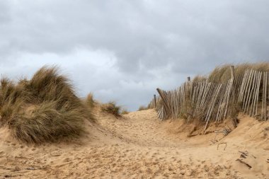 Walberswick Plajı, Suffolk, İngiltere, Birleşik Krallık