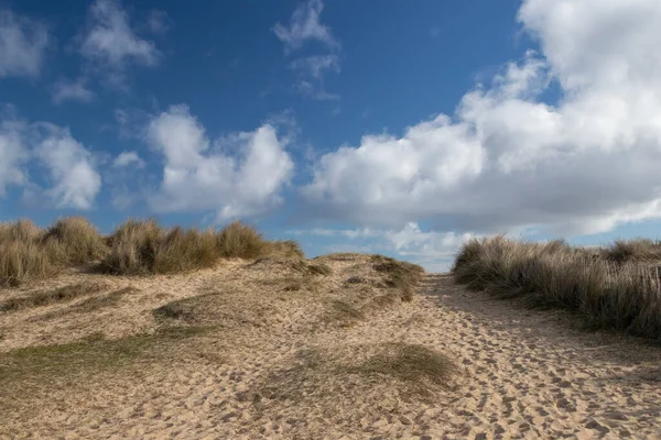 Fußweg Zum Strand Von Walberswick Suffolk England Großbritannien — Stockfoto