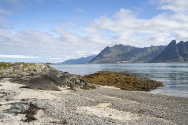 Gimsoy Plajı, Gimsoya, Lofoten Adaları, Norveç, 