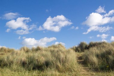 Footpath leading to Walberswick Beach in Suffolk, England, United Kingdom