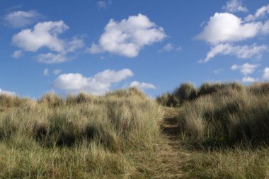 Footpath leading to Walberswick Beach in Suffolk, England, United Kingdom