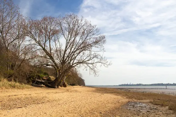 Nacton Sahilleri, Suffolk, İngiltere, Birleşik Krallık