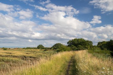 Footpath along the Brandy Hole Saltmarsh, Hullbridge, Essex, England, United Kingdom clipart