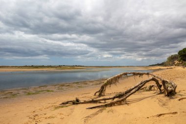 Ria Formosa, Cacela Velha yakınlarında, Algarve, Portekiz