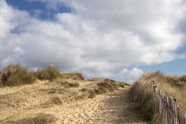 Footpath leading to Walberswick Beach in Suffolk, England, United Kingdom