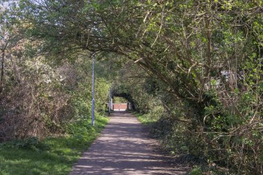Prittle Brook Greenway 'e paralel bir yol, Leigh-on-Sea, Essex, İngiltere, İngiltere, güneşli bir bahar günü. (Hadleigh 'den Southend' e bisikletçiler ve yayalar için trafikten arındırılmış bağlantı). 