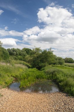 Beyaz Köprü olarak da bilinen Blyth Köprüsü 'nden görüntü, Halesworth Milenyumu Yeşil, Suffolk, İngiltere, Birleşik Krallık