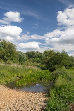Beyaz Köprü olarak da bilinen Blyth Köprüsü 'nden görüntü, Halesworth Milenyumu Yeşil, Suffolk, İngiltere, Birleşik Krallık