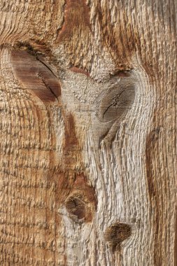 İşlenmemiş ahşap dokusu