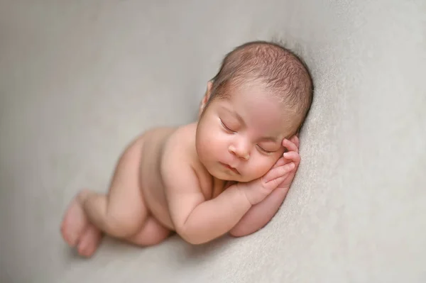 Cute Little Newborn Baby Girl Beautiful Decor Antourage — Stock Photo, Image