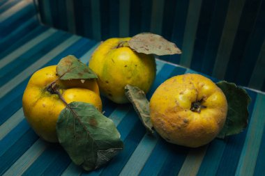 ripe juicy yellow quince on a dark background