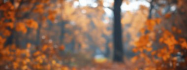 A serene autumn landscape with vibrant orange foliage in a soft focus. clipart