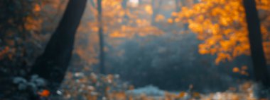 A serene autumn forest scene with blurred orange foliage. clipart