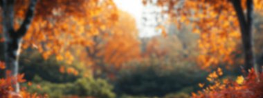 A vibrant autumn landscape with colorful foliage in a serene environment. clipart