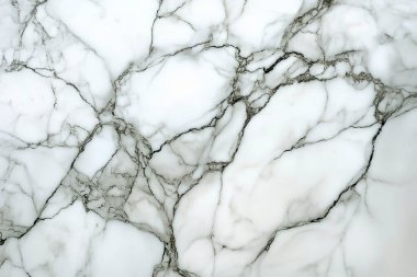 Elegant white marble surface with intricate grey veining.