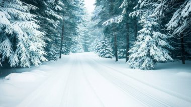 Serene snowy road through a tranquil winter forest. clipart