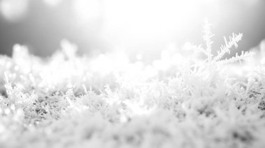 Close-up of delicate snowflakes glistening under bright sunlight. clipart