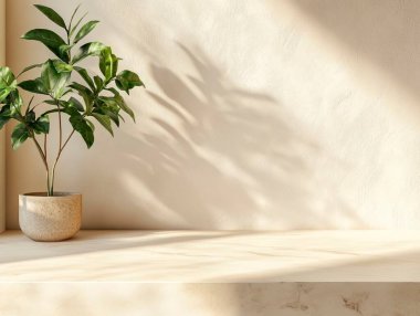 Minimalist interior with a potted plant casting soft shadows. clipart