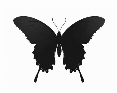 A stunning silhouette of a butterfly featuring intricate wing patterns against a clean, white background. clipart