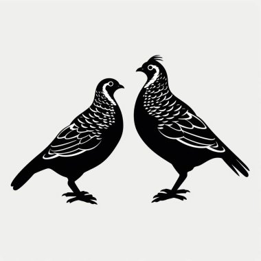 Two stylized black birds facing each other, showcasing intricate feather patterns and unique features. clipart