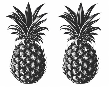 Two intricately designed black and white pineapples with detailed textures, perfect for vintage or tropical-themed designs. clipart